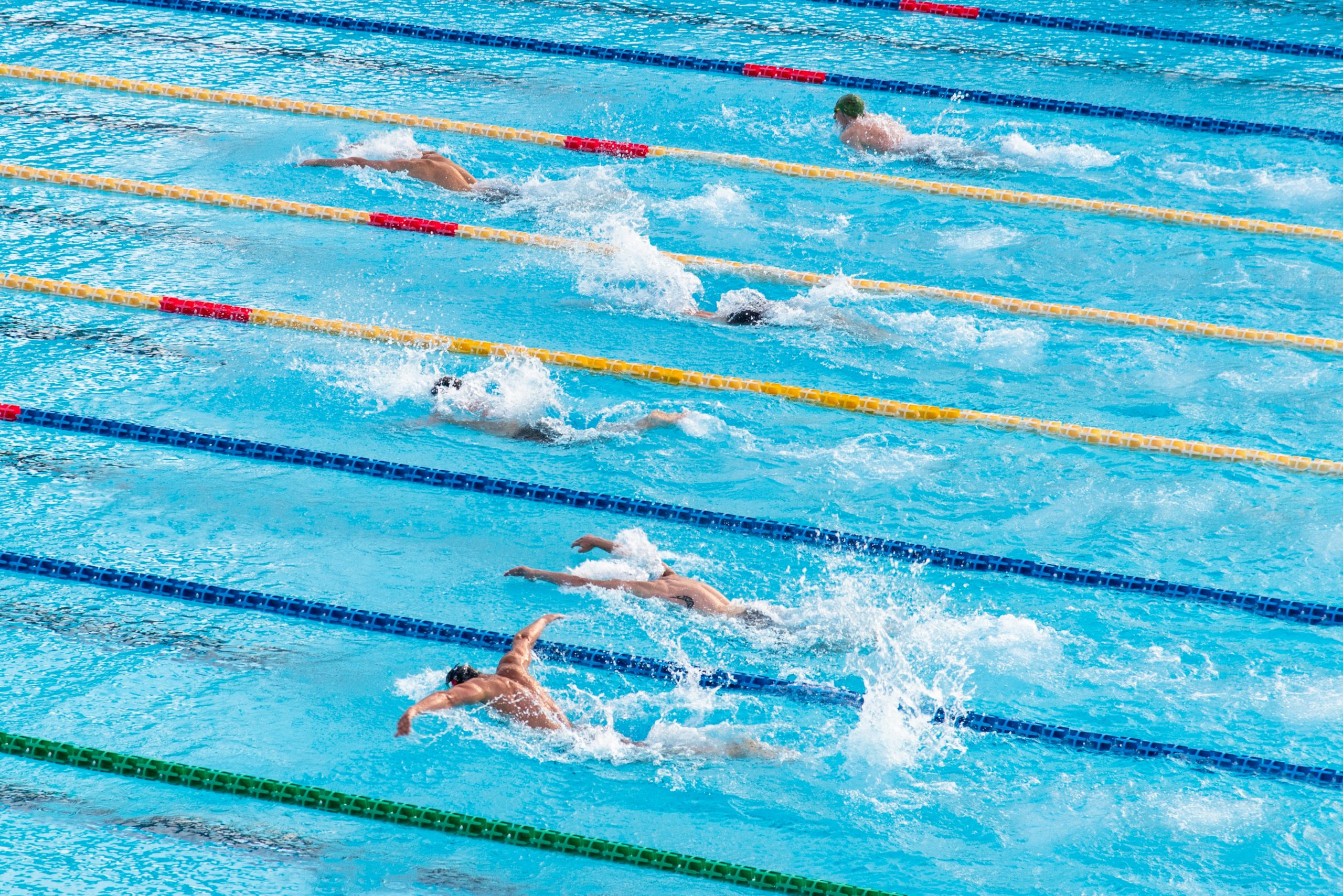 Nageurs en entraînement dans un bassin olympique de 50 mètres lors d'un stage de natation Sport'n Go